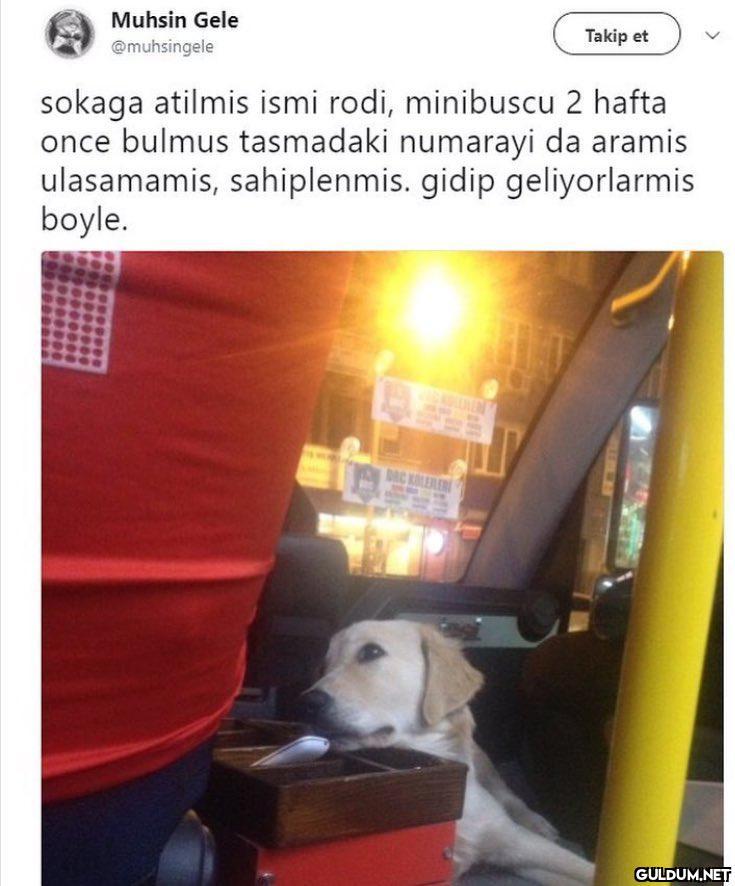 Minibüsçü abi. sen iyi ki...