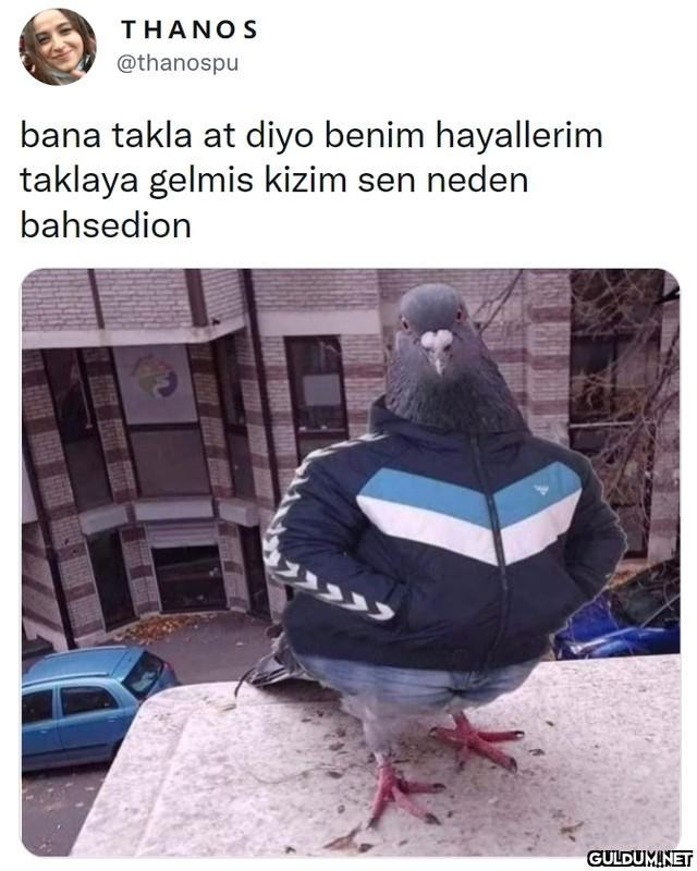 THANOS @thanospu bana...