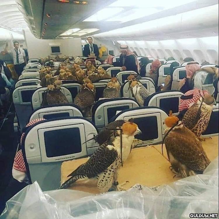 anlamsız fotoğraflar 72636  Kaynak