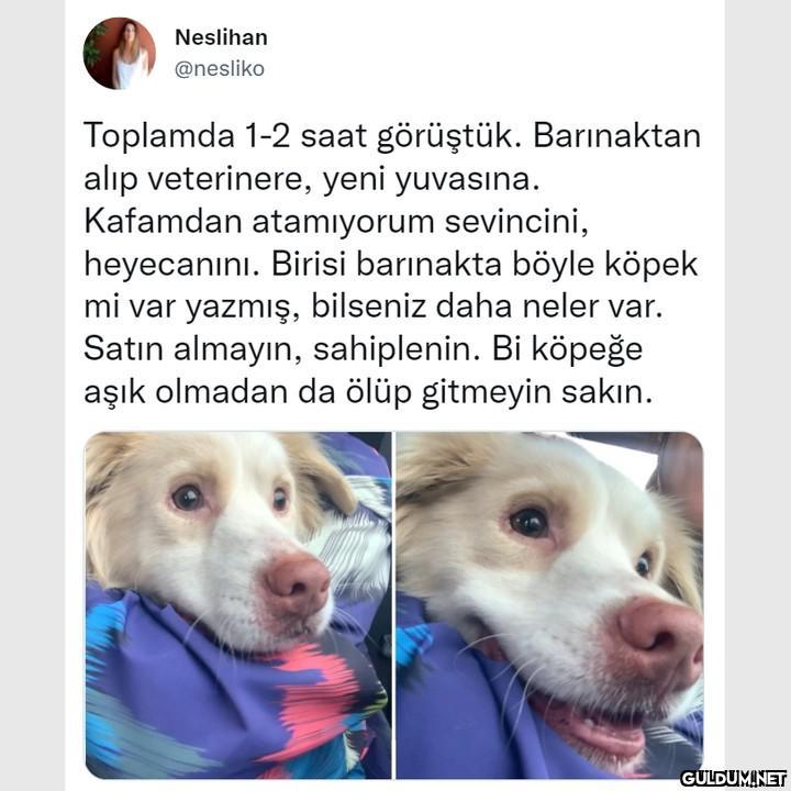 Neslihan @nesliko Toplamda...