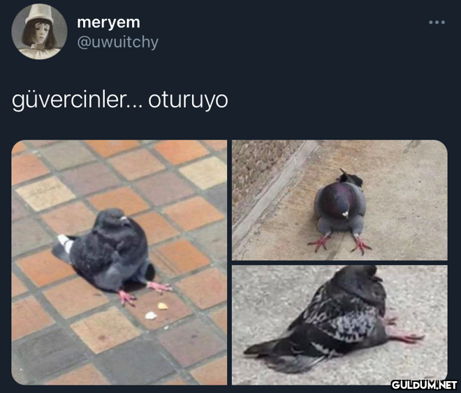 meryem @uwuitchy...