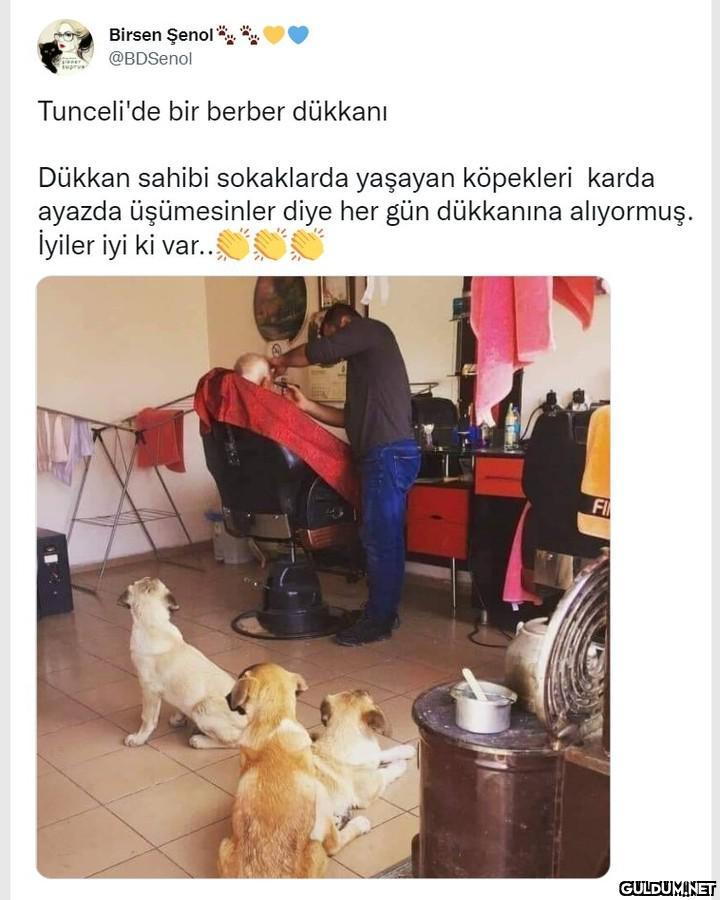 Birsen Şenol** @BDSenol...