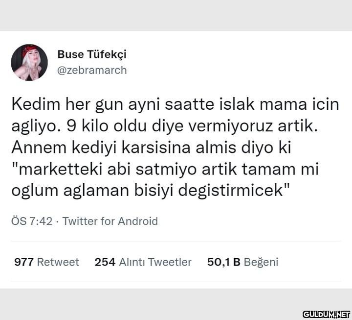 Buse Tüfekçi @zebramarch...