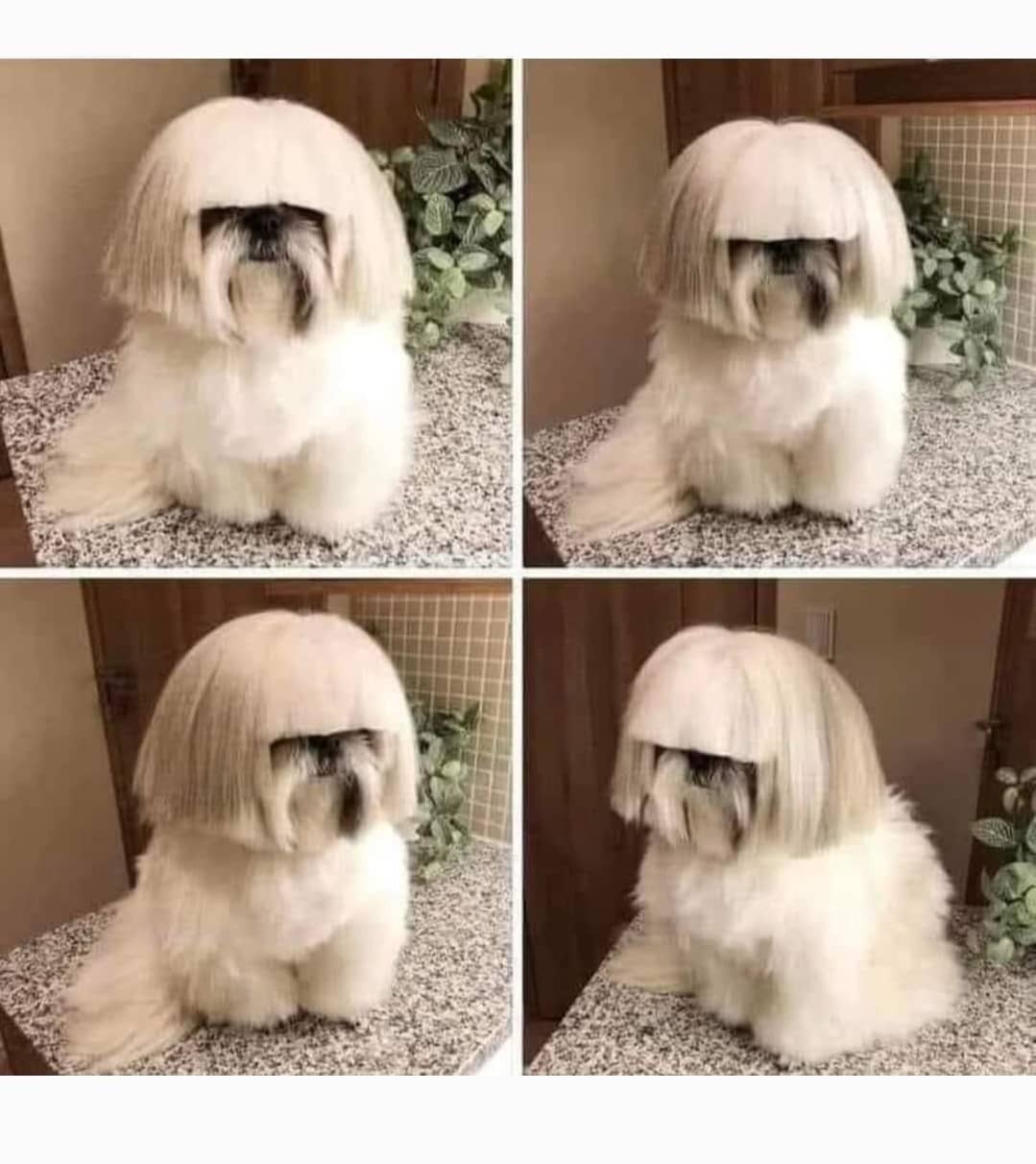 Bobi Narmanlıgil...