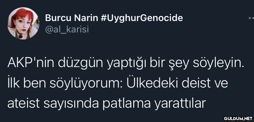 Burcu Narin...