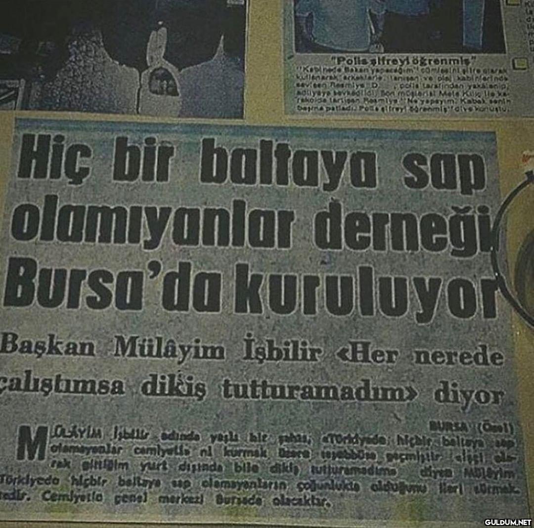 -adınız ne +mülayim...
