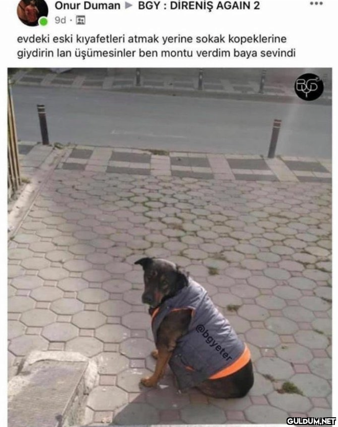 Onur Duman BGY : DİRENİŞ...