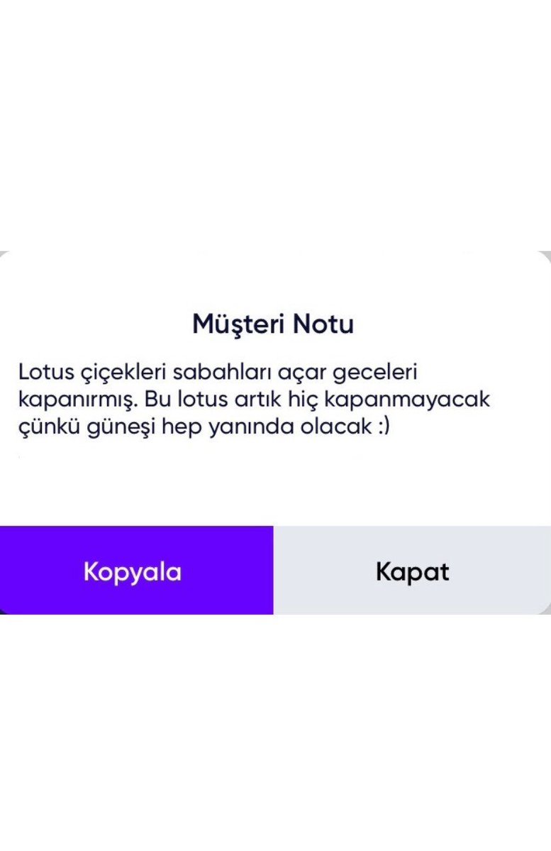 notun ve kolyenin...