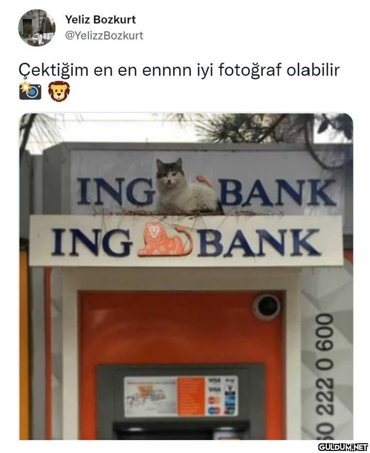 Yeliz Bozkurt...