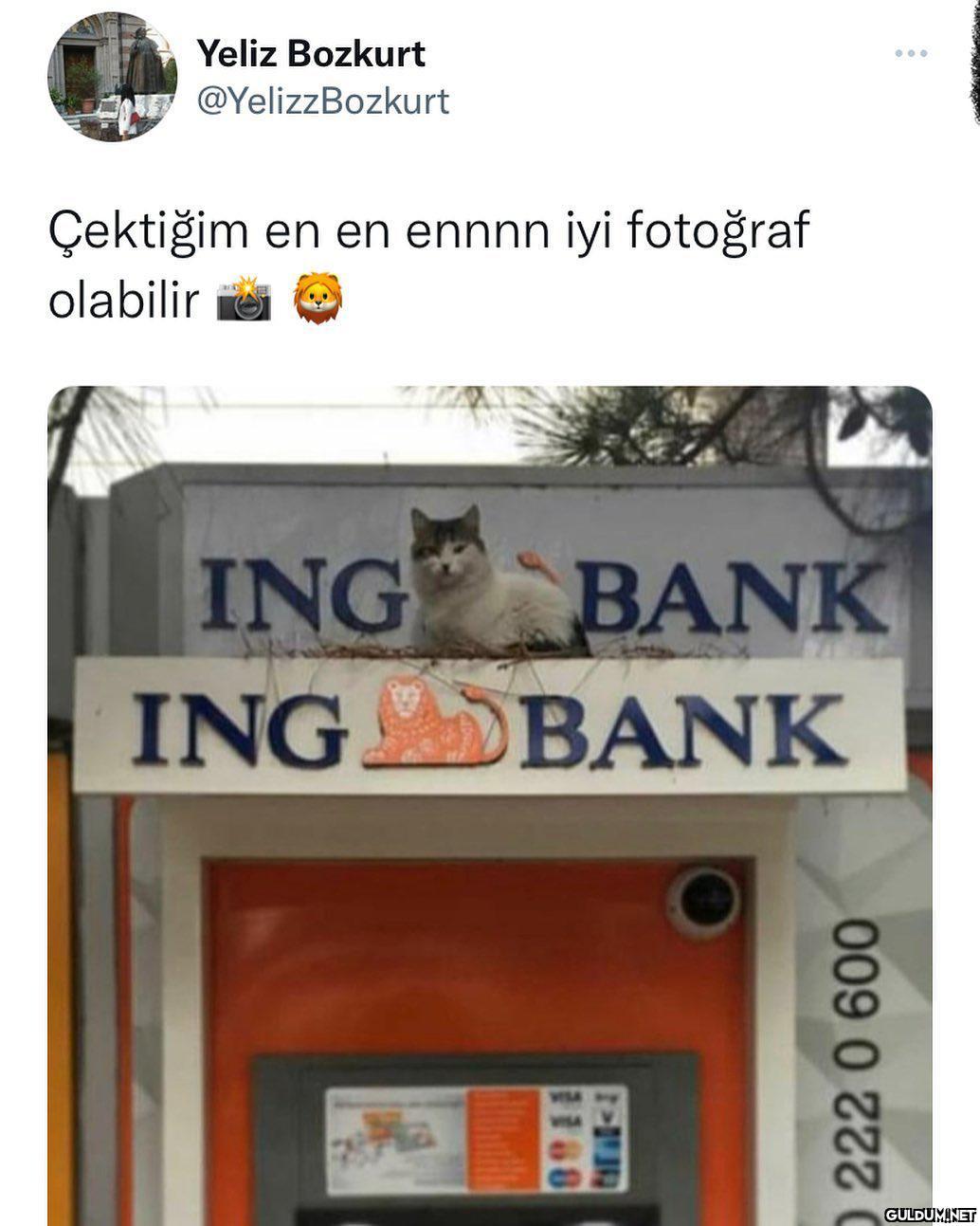 Yeliz Bozkurt...