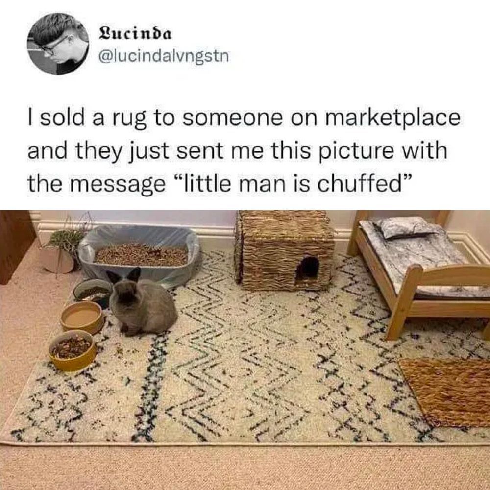 Bunny having a better life...
