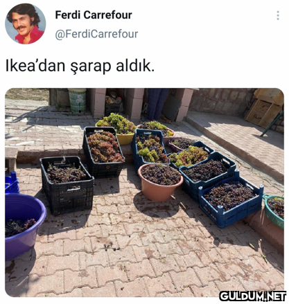 Popular post