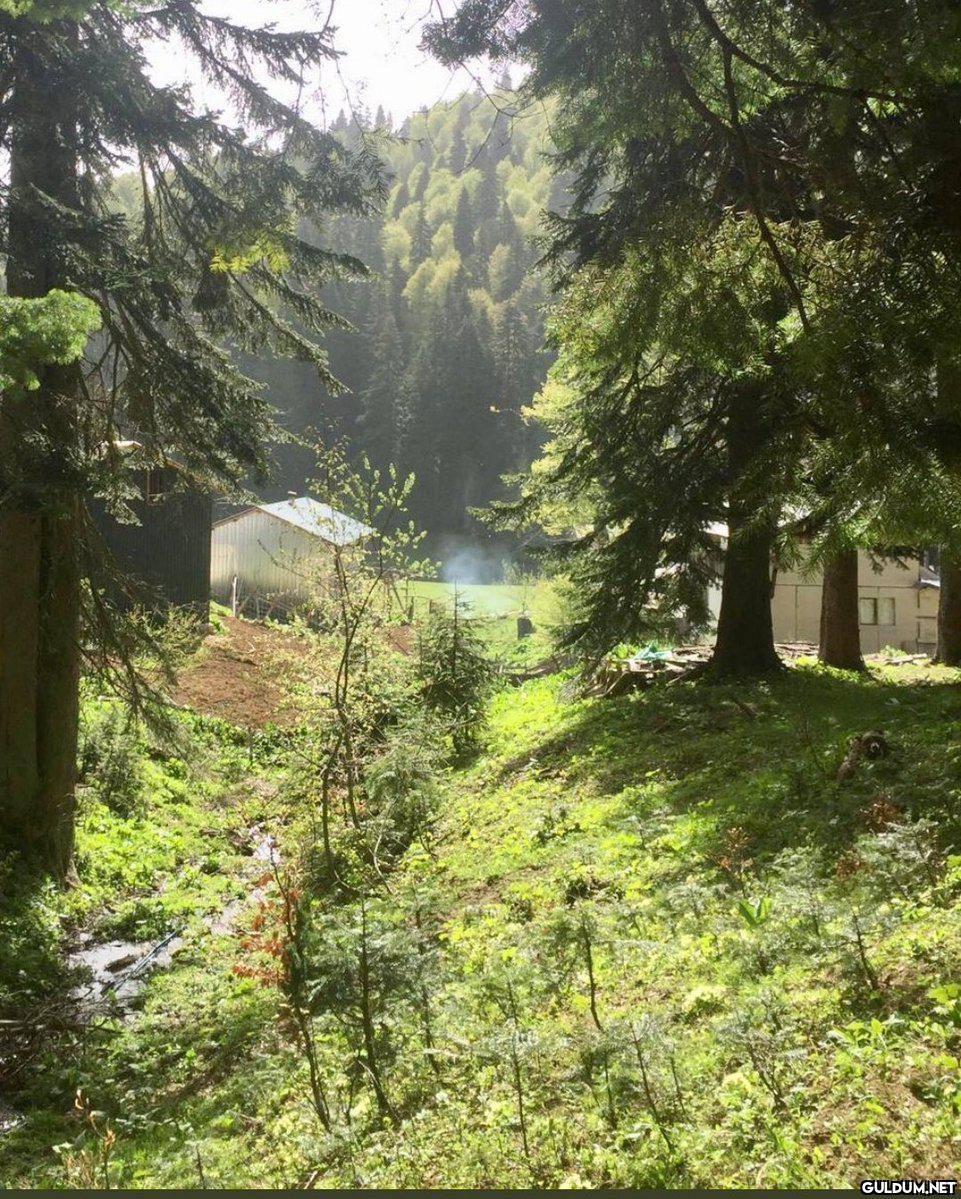 Burası düzce Öylesine...
