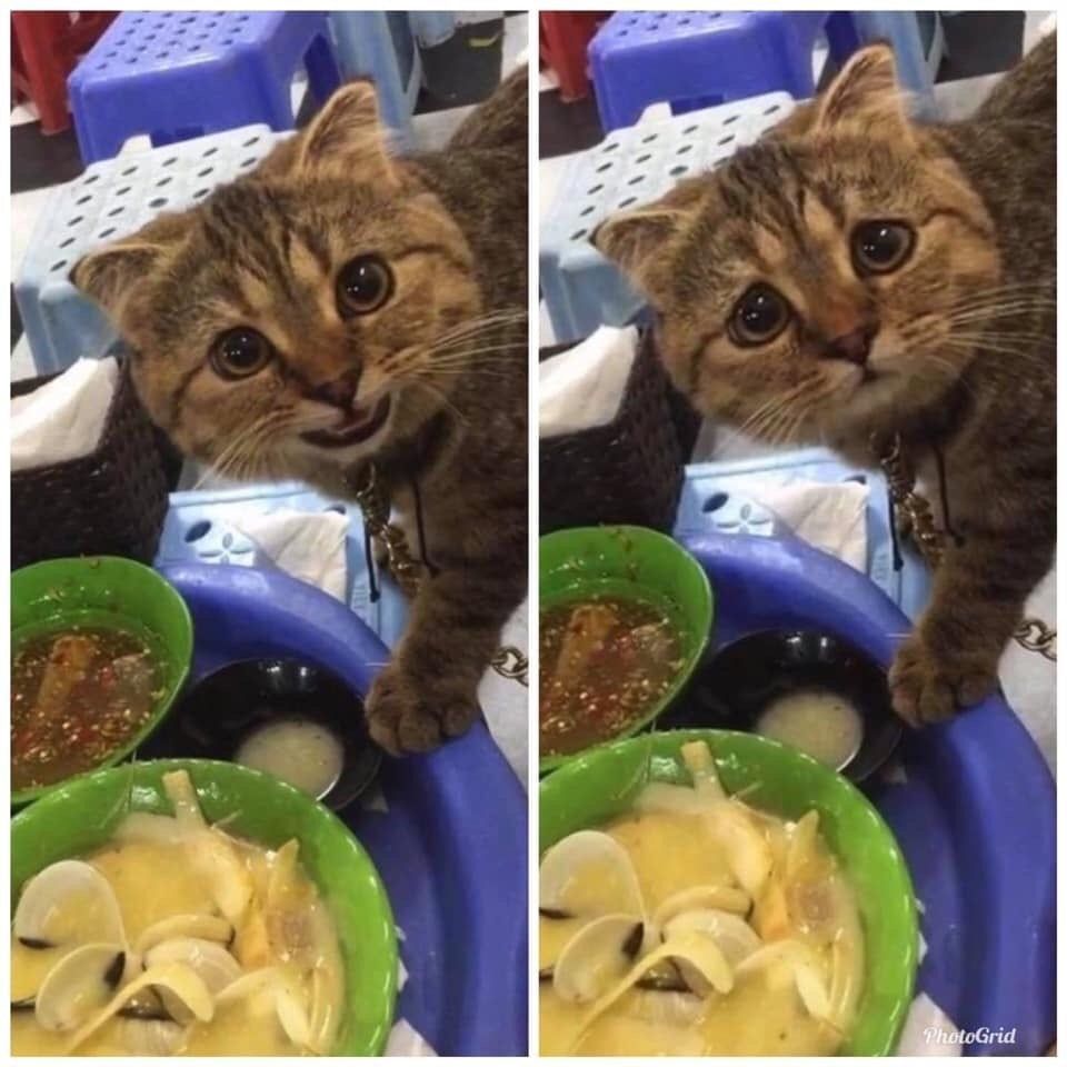 Can I have it? ...no? 📸...