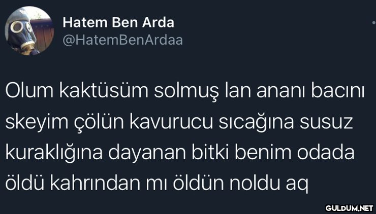 Hatem Ben Arda...