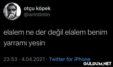otçu köpek @wrintintin...