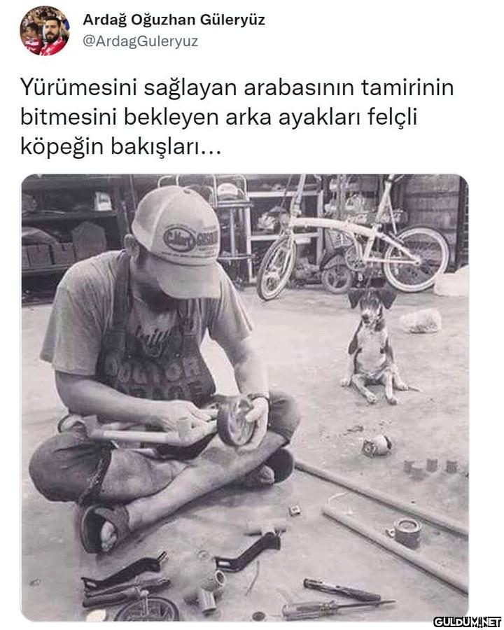 Ardağ Oğuzhan Güleryüz...