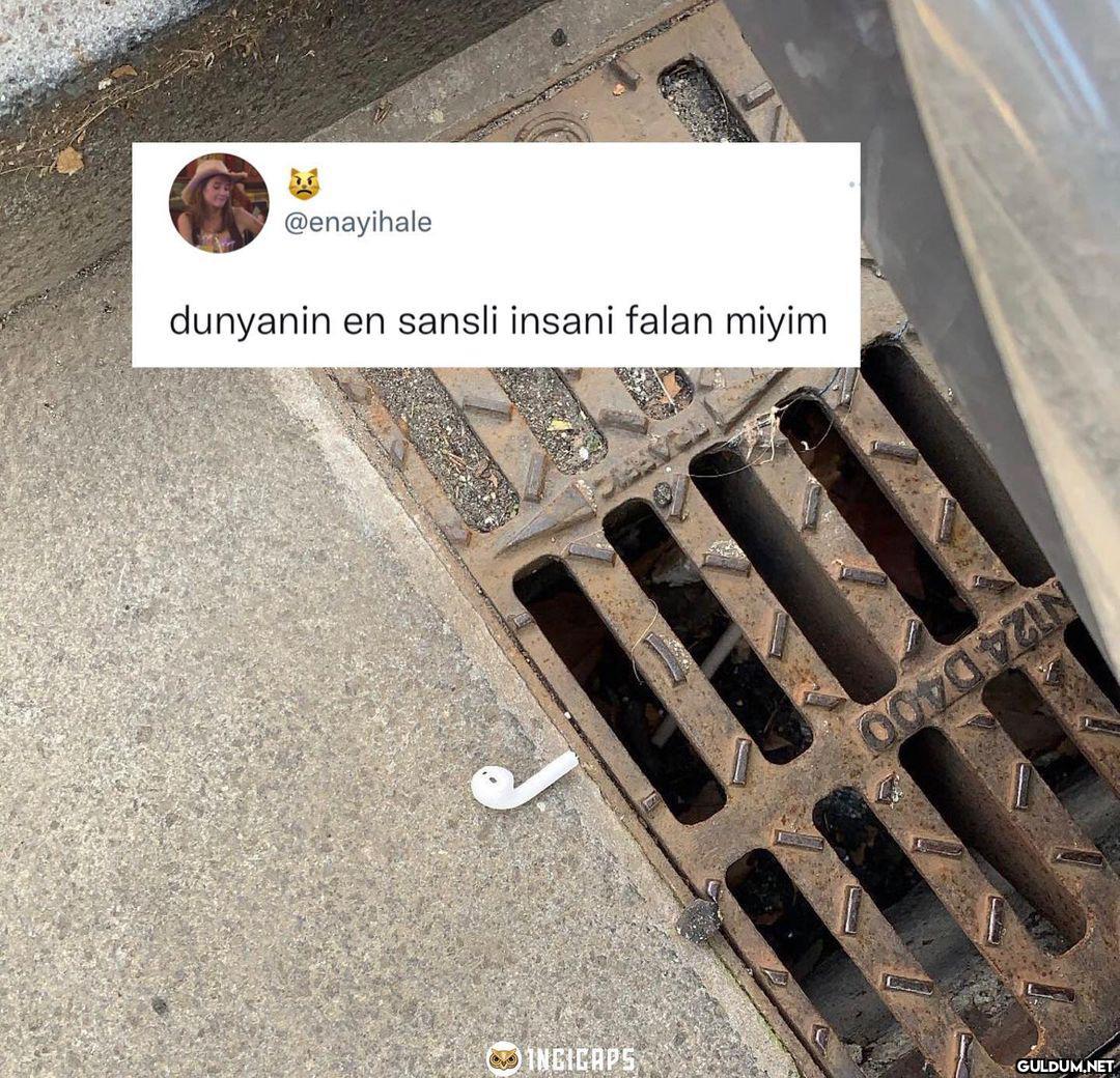 @enayihale dunyanin en...