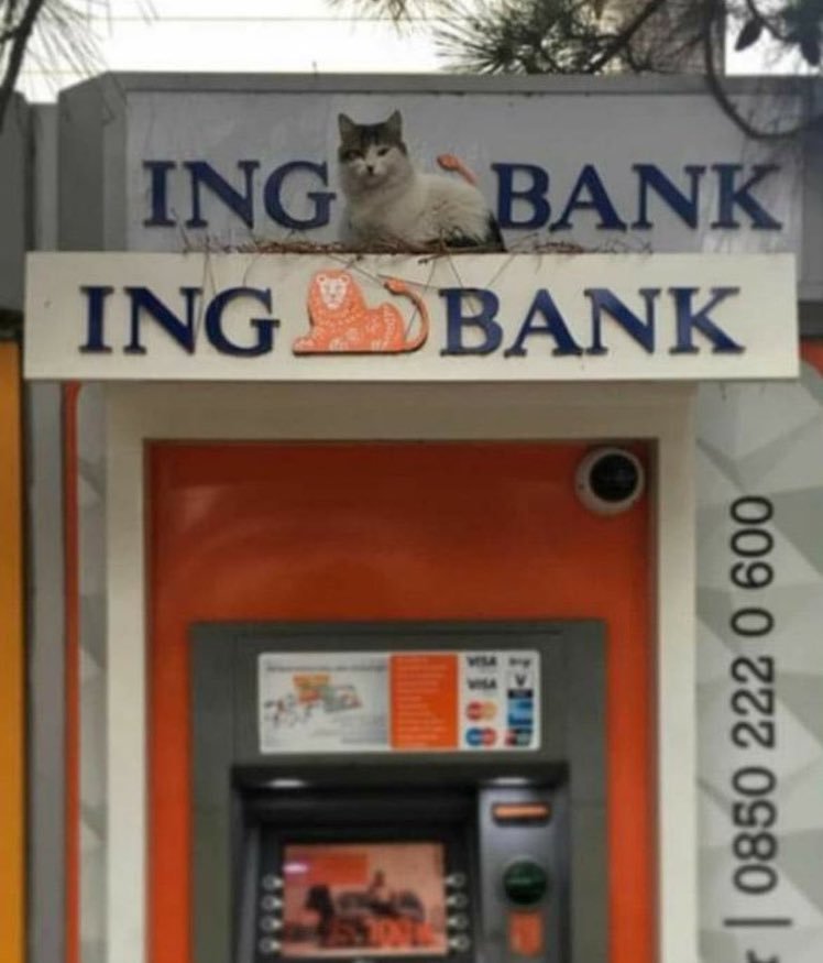 Miuvduat kredisi için bizi...