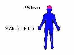 5% insan 95% STRES    Kaynak