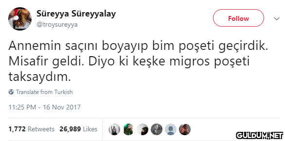 Süreyya Süreyyalay Follow...