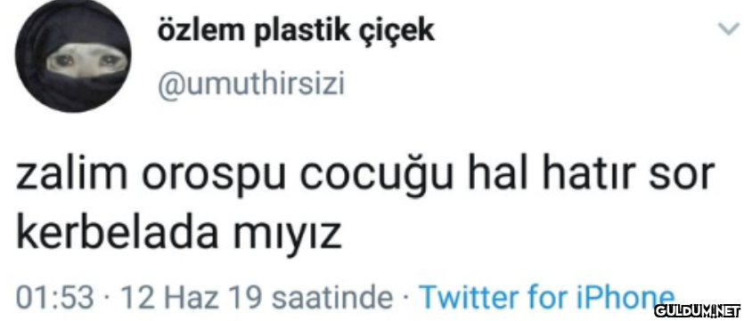 özlem plastik çiçek...