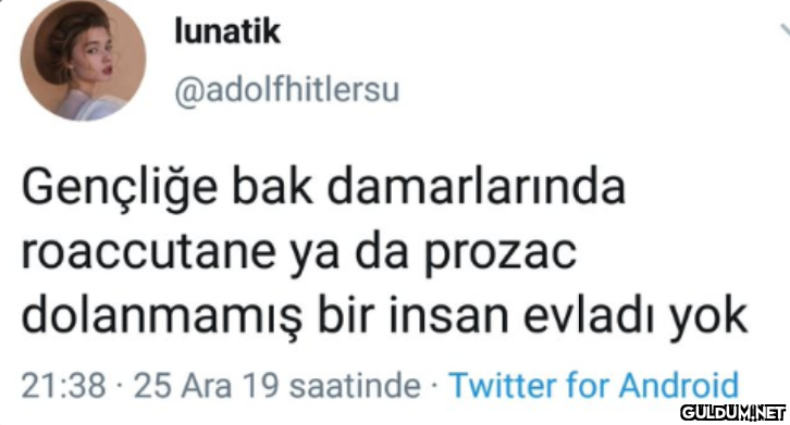 lunatik @adolfhitlersu...