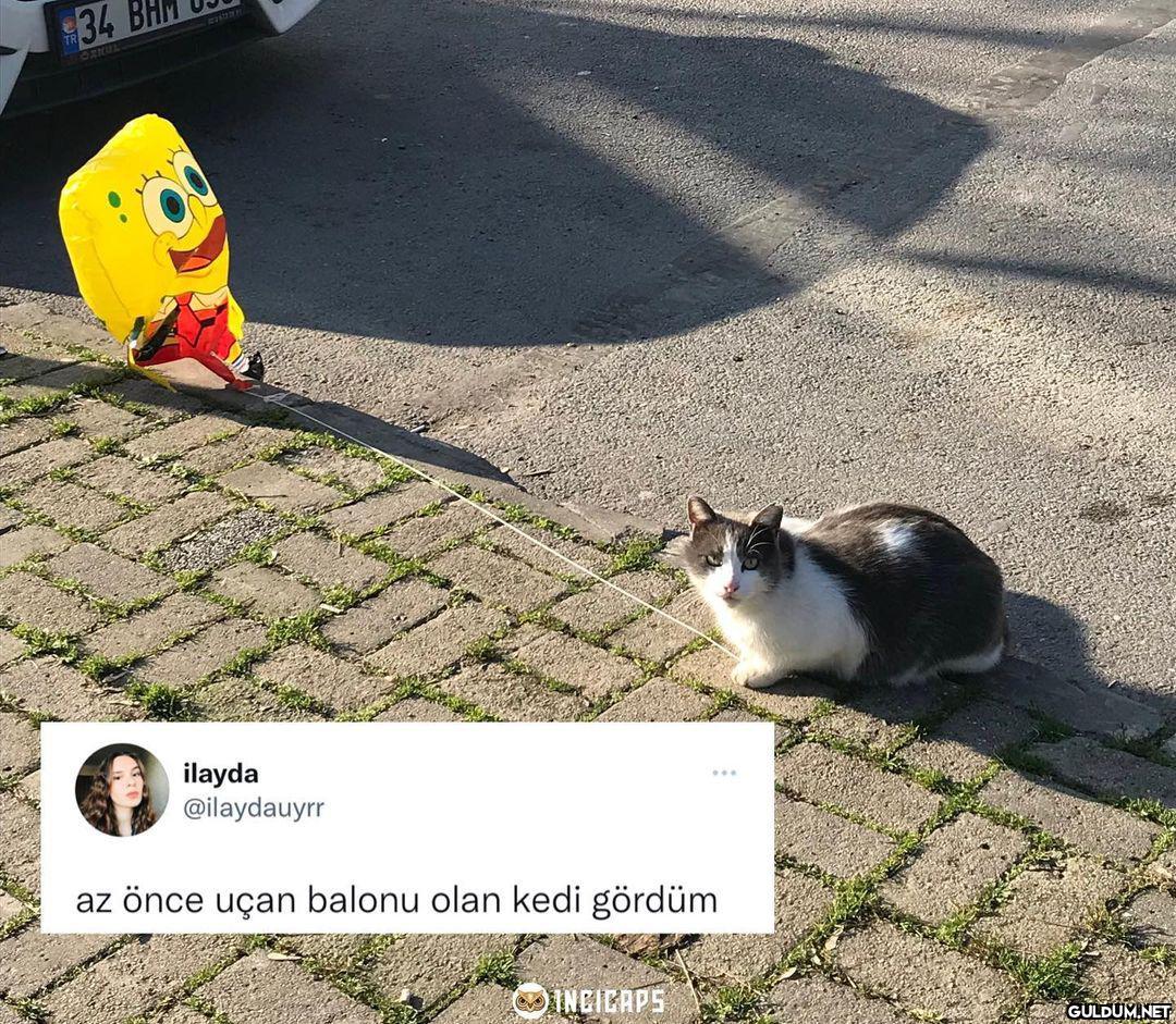 $34 ORKUL ilayda...