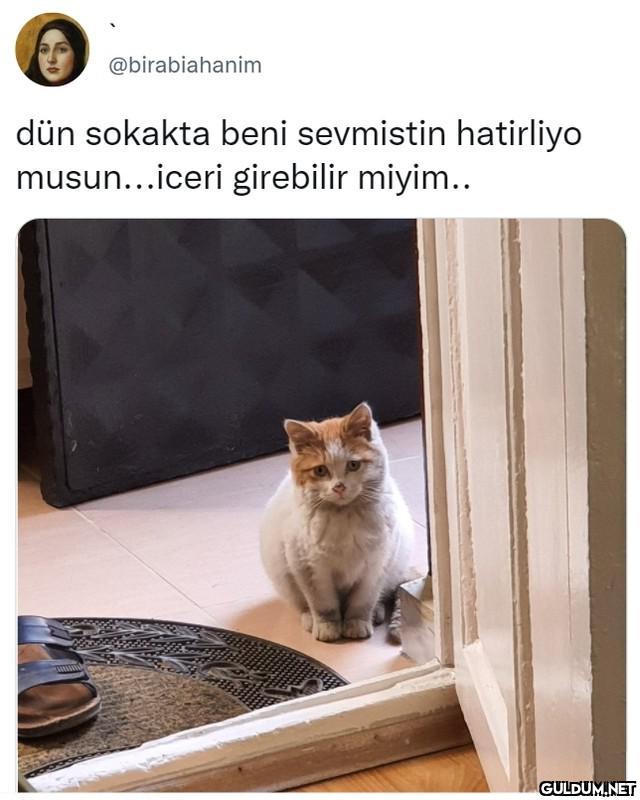 @birabiahanim dün sokakta...