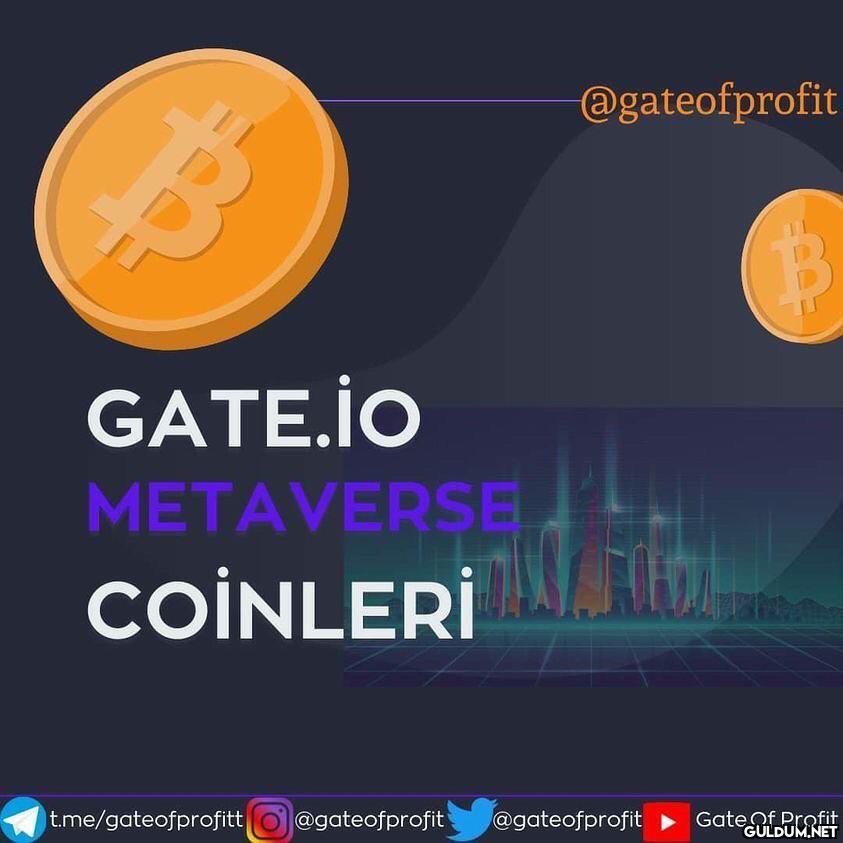 @gateofprofit Metaverse,...