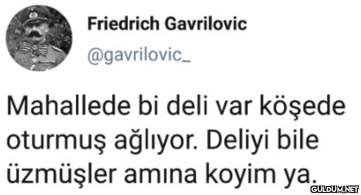 Friedrich Gavrilovic...