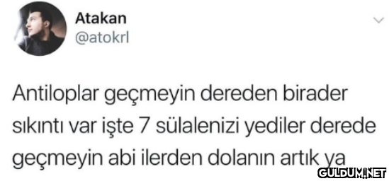 Atakan @atokrl Antiloplar...