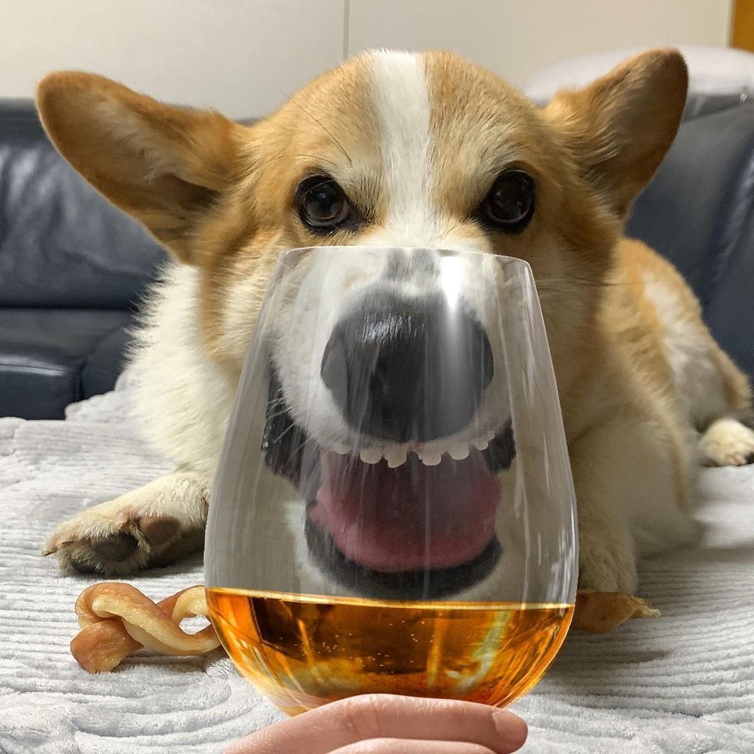 Before and after drinking...