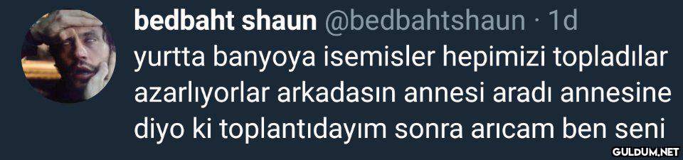 bedbaht shaun...
