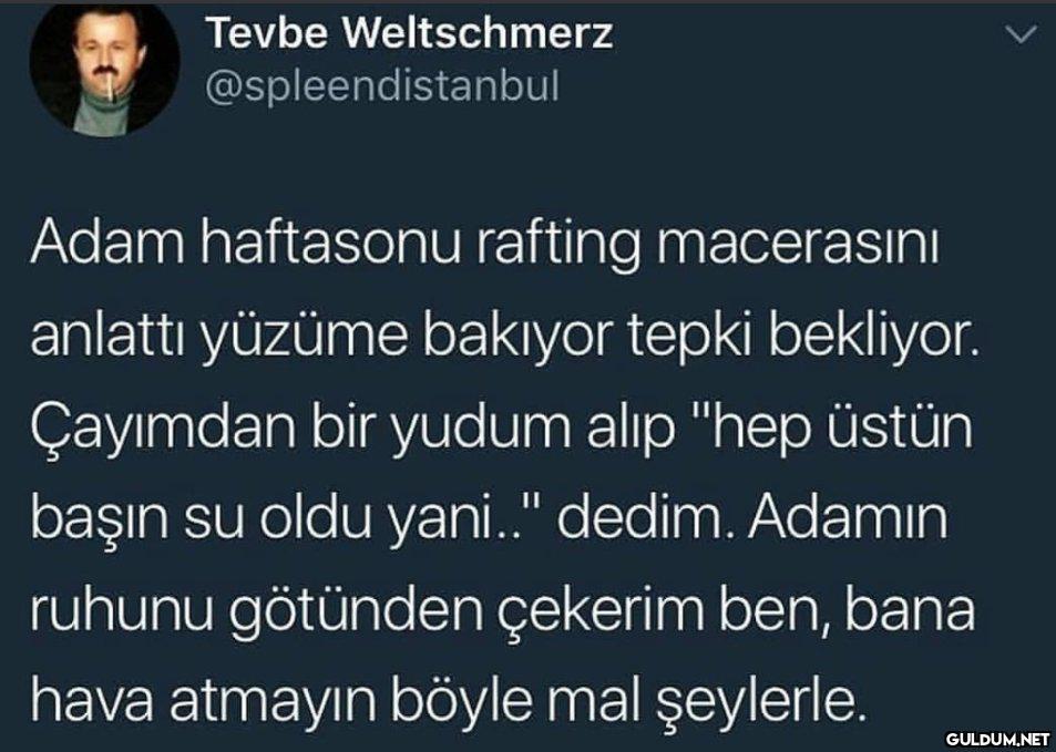 Tevbe Weltschmerz...
