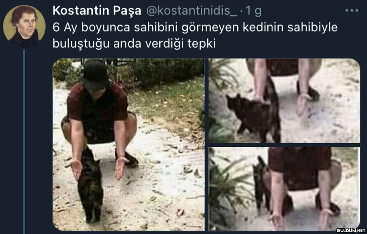 Kostantin Paşa...