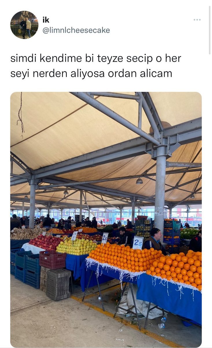 Aşırı mantıklı    ik...