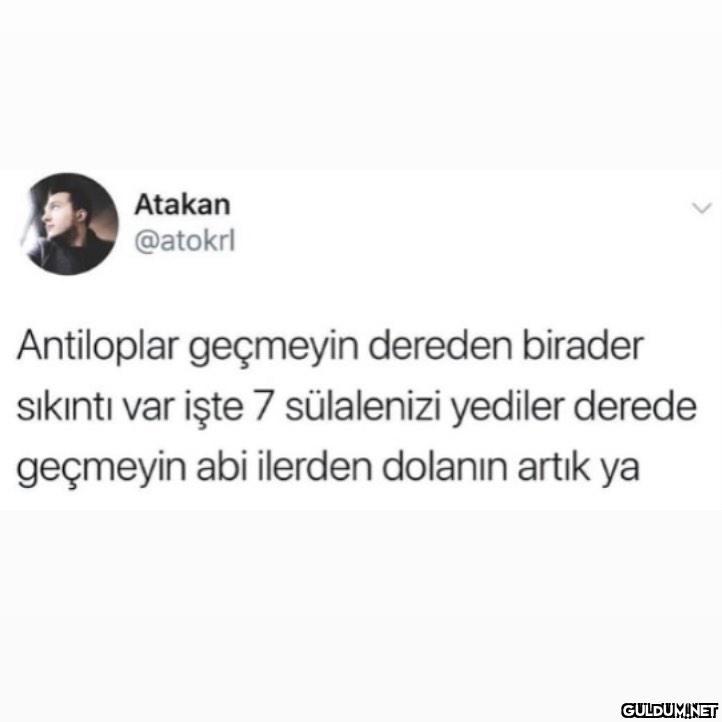 Atakan @atokrl Antiloplar...