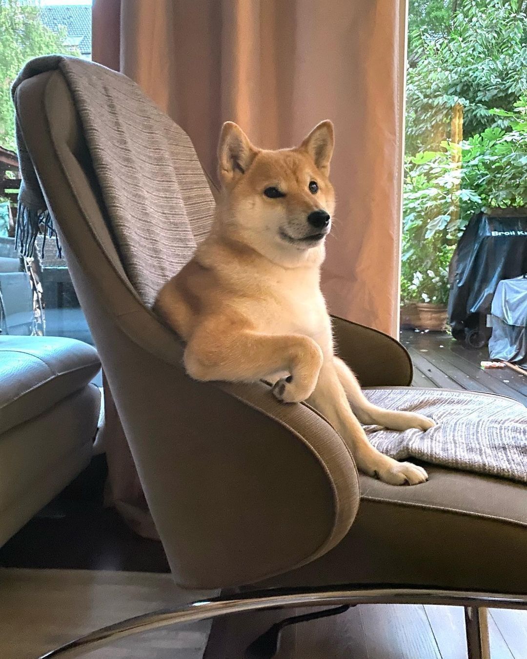 Go on. I’m listening. |...