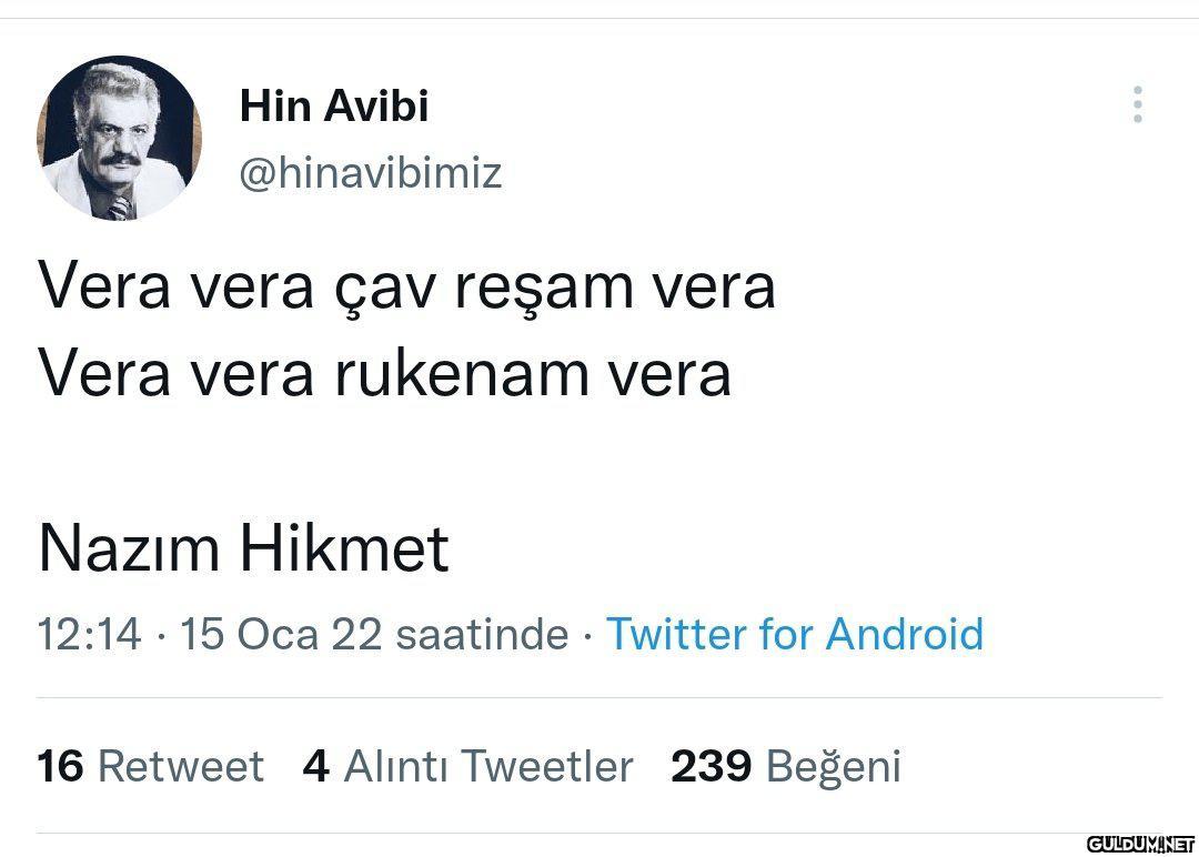 Hin Avibi @hinavibimiz...