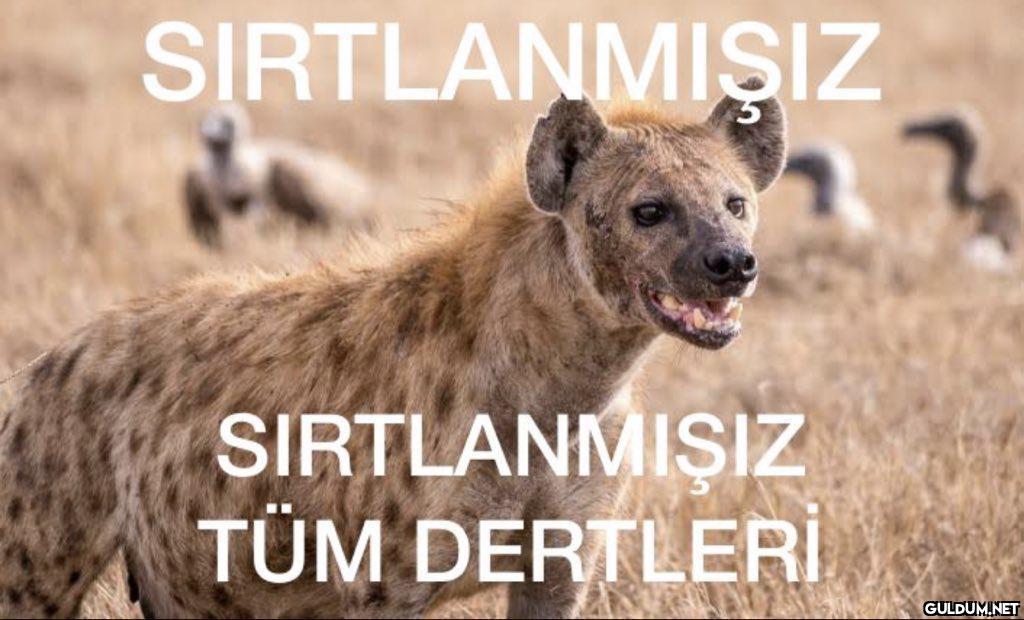 https://t.co/FJ3YqtPjdx...