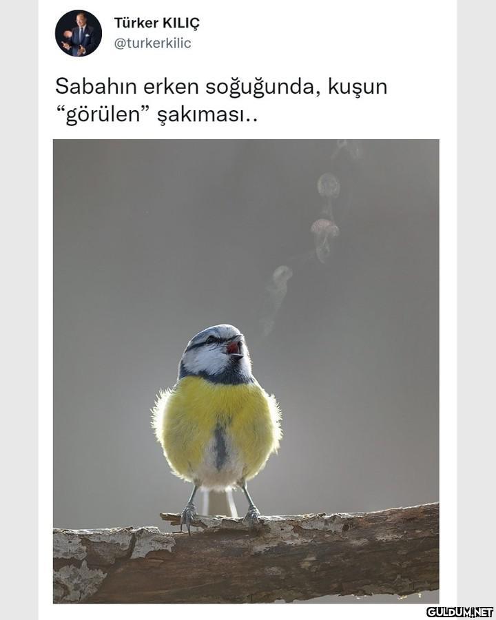 📷 Mikhail Kalinin  Türker...