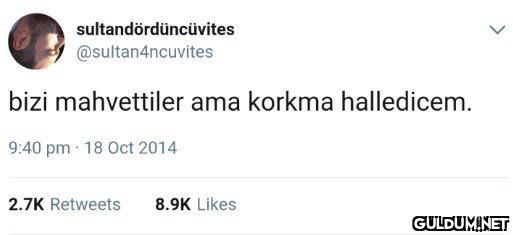 sultandördüncüvites...