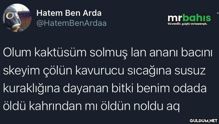 Hatem Ben Arda mrbahıs...