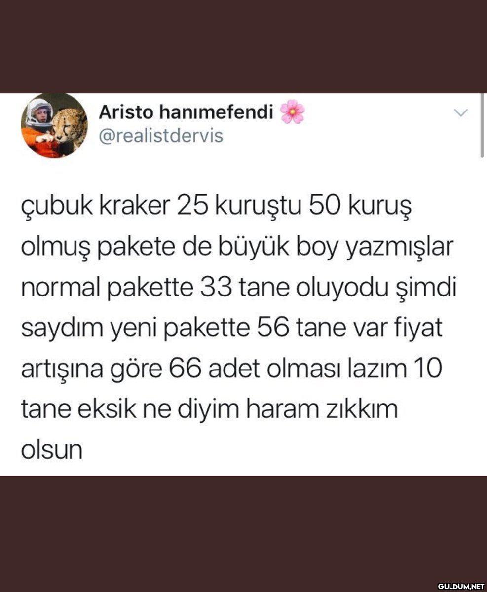 Aristo hanımefendi...