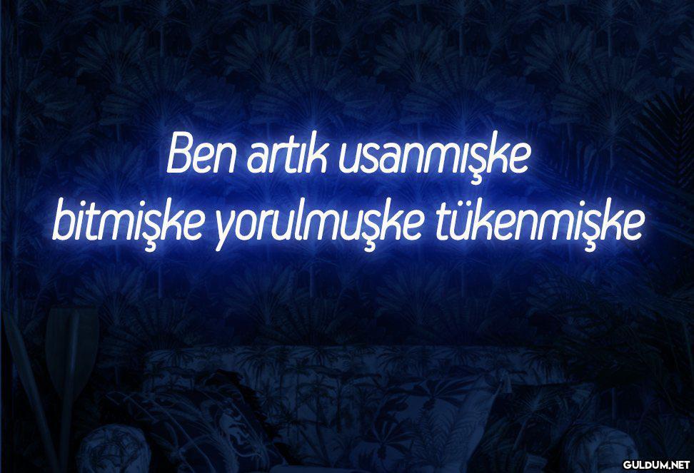 Ben artık usanmışke...