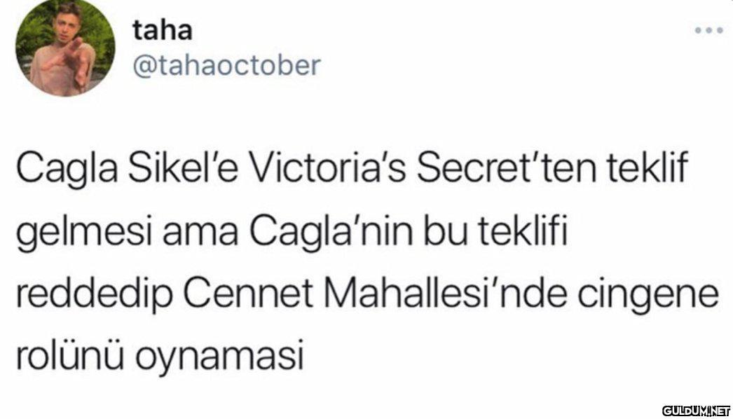 taha ... @tahaoctober...