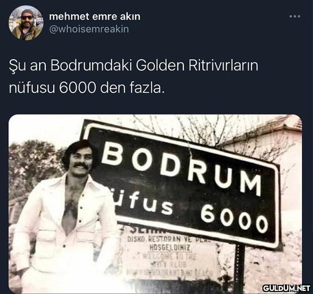 mehmet emre akın...