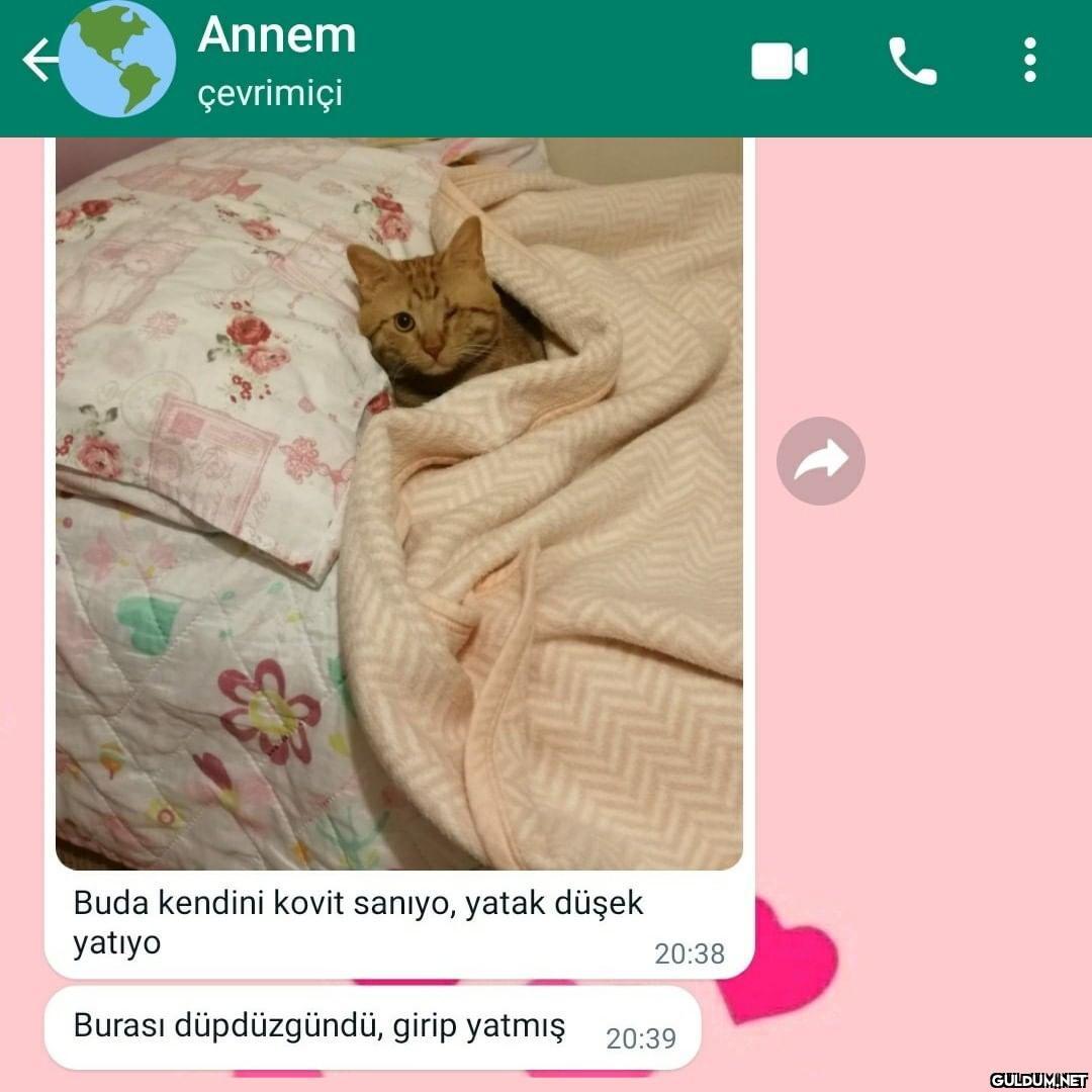 @hortolok annemlerin covid...