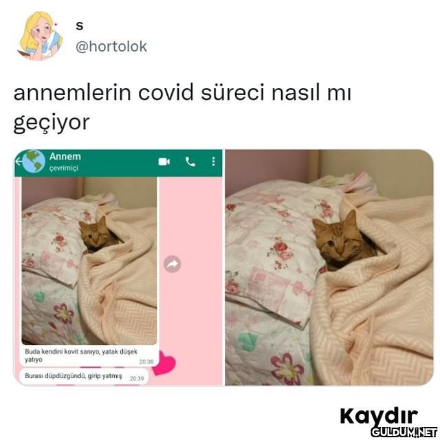 @hortolok annemlerin covid...